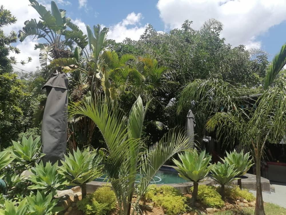 Eagle'S Nest Hotel Barberton Buitenkant foto